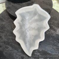 CIOTOLA SELENITE FOGLIA CM. 15