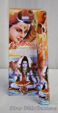 DARSHAN LORD SHIVA