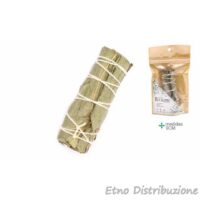 EUCALIPTO SMUDGE CM. 10